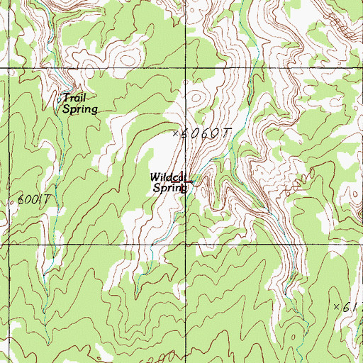 Topographic Map of Wildcat Spring, UT