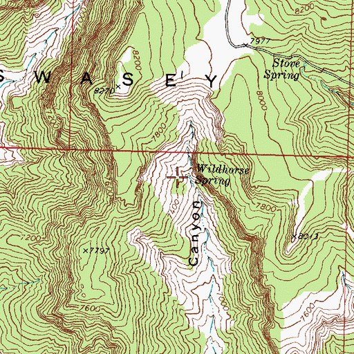 Topographic Map of Wildhorse Spring, UT