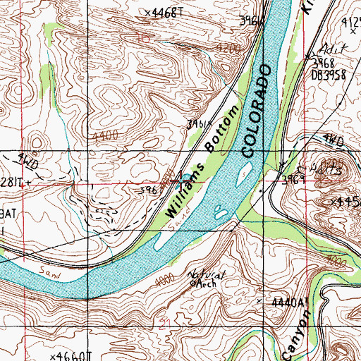 Topographic Map of Williams Bottom, UT