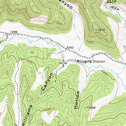 Topographic Map of Williams Canyon, UT