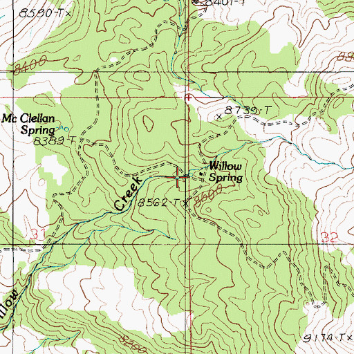 Topographic Map of Willow Spring, UT
