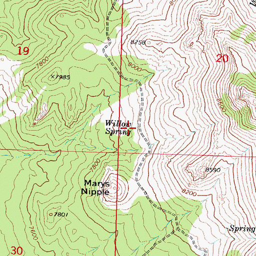 Topographic Map of Willow Spring, UT