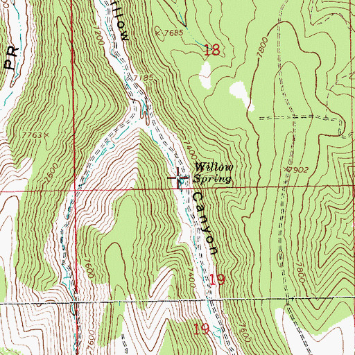 Topographic Map of Willow Spring, UT