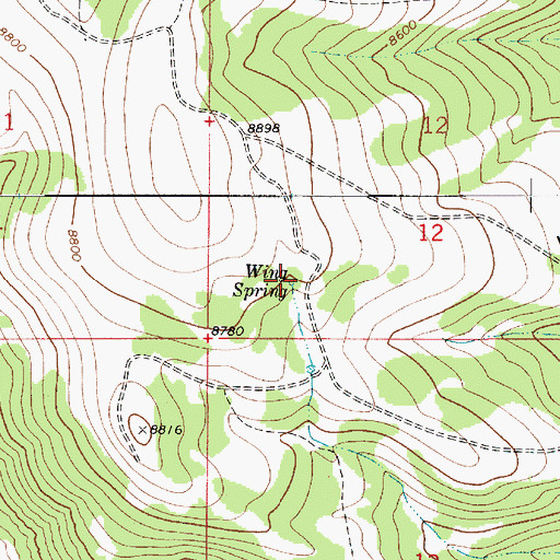 Topographic Map of Wing Spring, UT