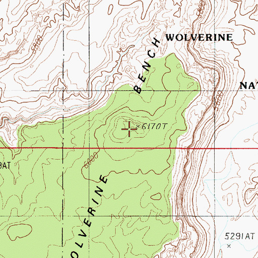 Topographic Map of Wolverine Bench, UT