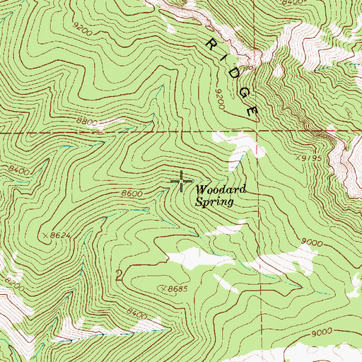 Topographic Map of Woodard Spring, UT