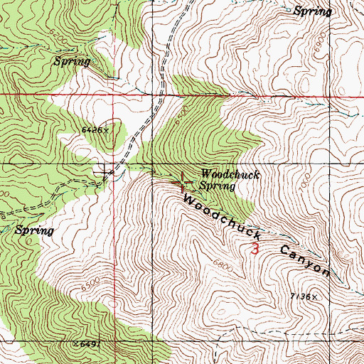 Topographic Map of Woodchuck Spring, UT