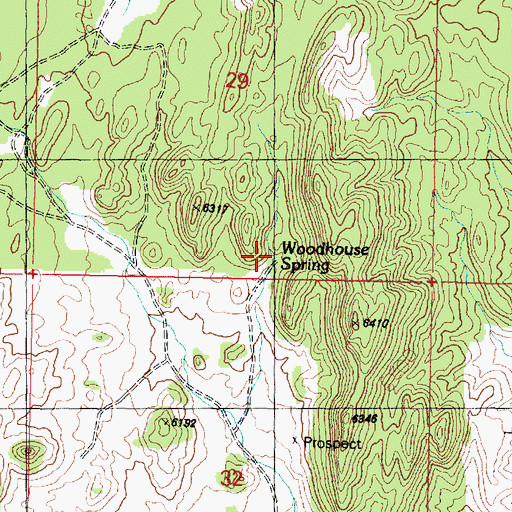 Topographic Map of Woodhouse Spring, UT