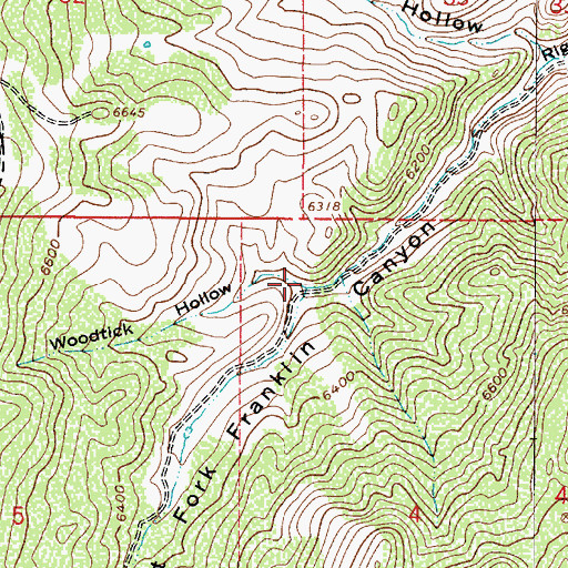 Topographic Map of Woodtick Hollow, UT