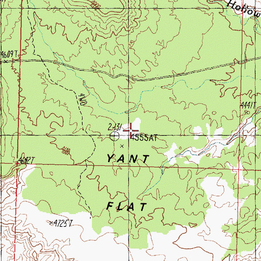 Topographic Map of Yant Flat, UT