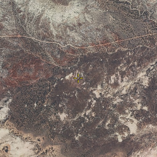 Aerial/Satellite Image of Yant Flat, UT