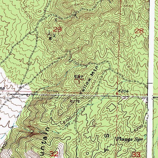 Topographic Map of Yellow Mountain, UT