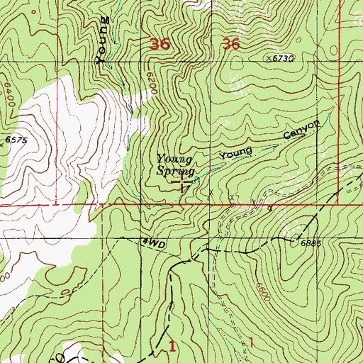 Topographic Map of Young Spring, UT