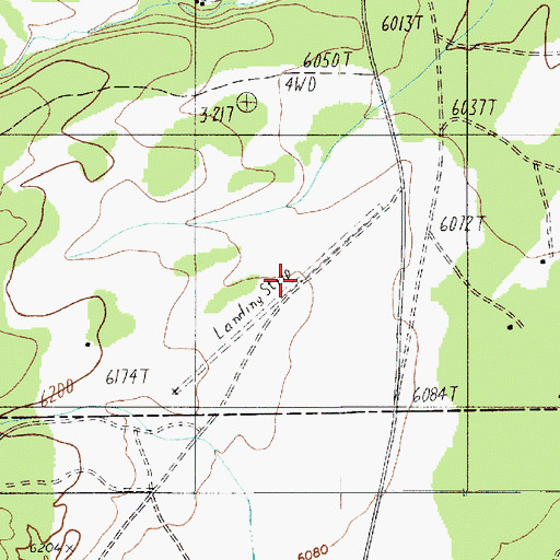 Topographic Map of Navajo Mountain Airport, UT