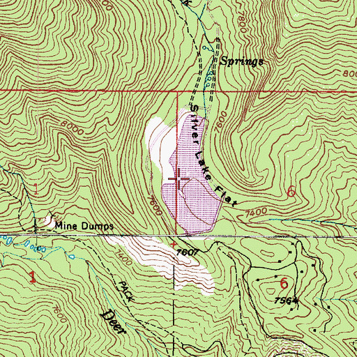 Topographic Map of Silver Lake Flat, UT