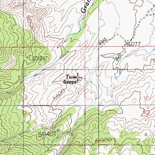 Topographic Map of Twin Seeps, UT