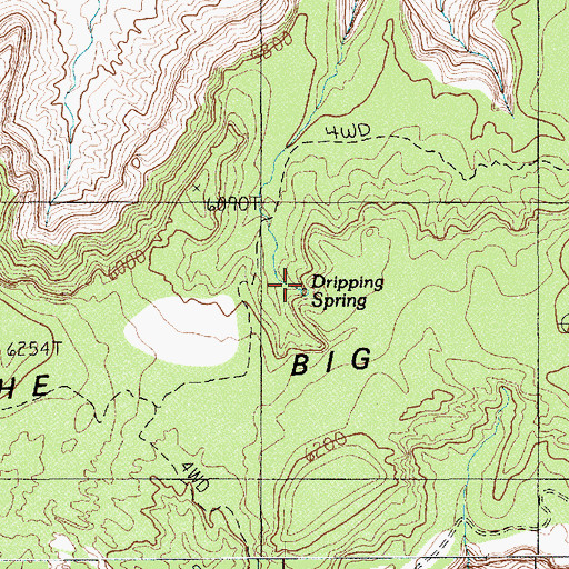 Topographic Map of Dripping Spring, UT