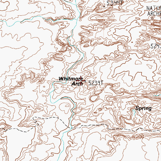 Topographic Map of Whitmore Arch, UT