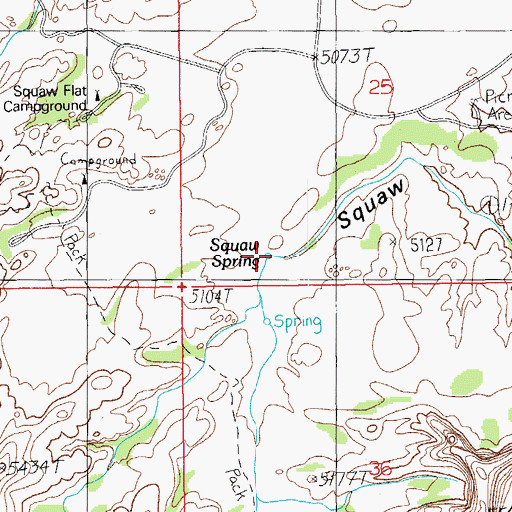 Topographic Map of Squaw Spring, UT