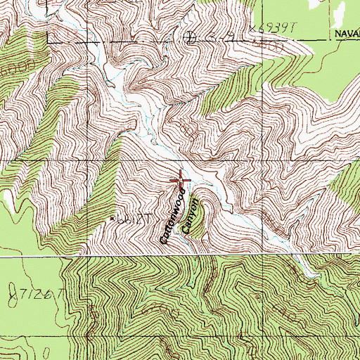 Topographic Map of Cottonwood Canyon, UT