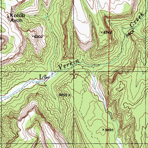 Topographic Map of Beatty Spring, UT