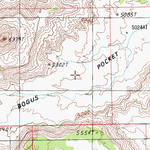 Topographic Map of Bogus Pocket, UT