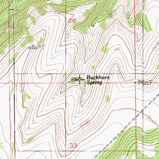 Topographic Map of Buckhorn Spring, UT