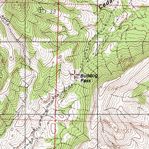 Topographic Map of Bulldog Pass, UT