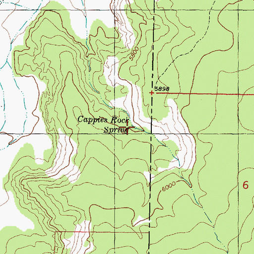 Topographic Map of Cappies Rock Spring, UT