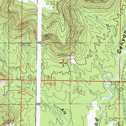 Topographic Map of Cottonwood Point, UT