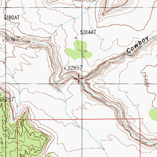 Topographic Map of Cowboy Canyon, UT