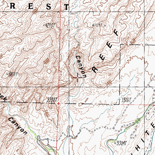 Topographic Map of Dicks Canyon, UT
