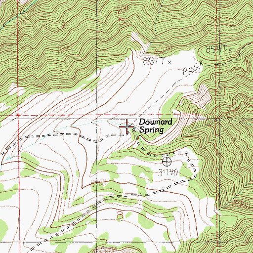 Topographic Map of Downard Spring, UT