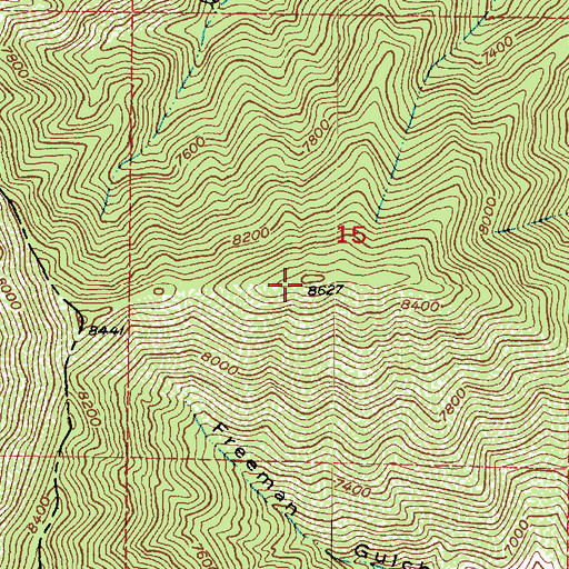 Topographic Map of Freeman Peak, UT