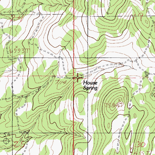 Topographic Map of House Spring, UT