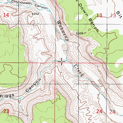 Topographic Map of Jack Riggs Canyon, UT