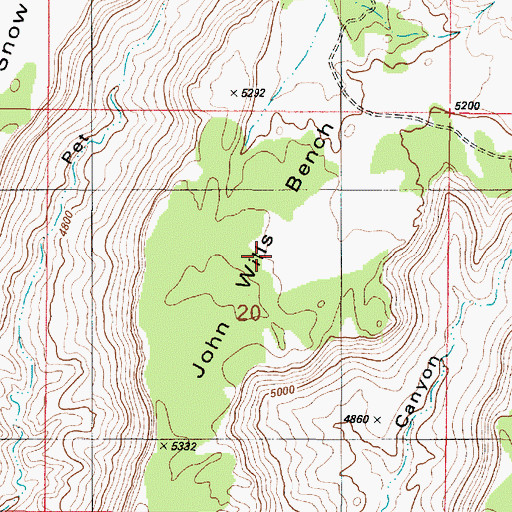Topographic Map of John Wills Bench, UT