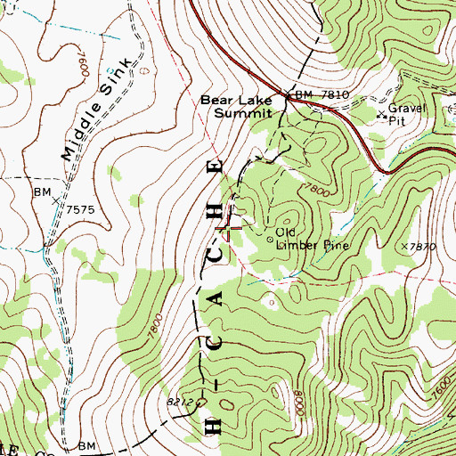 Topographic Map of Limber Pine Trail, UT