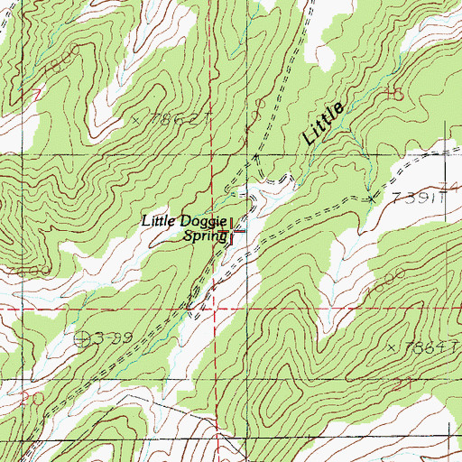 Topographic Map of Little Doggie Spring, UT