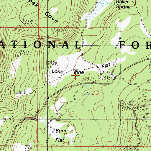 Topographic Map of Lone Pine Flat, UT