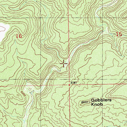 Topographic Map of Mares Tail Canyon, UT