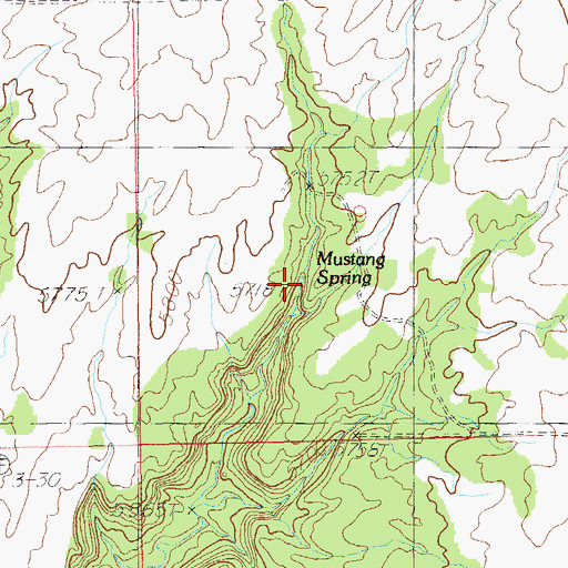 Topographic Map of Mustang Spring, UT