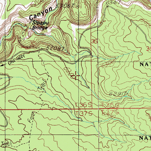 Topographic Map of Natural Bridges National Monument Picnic Area, UT