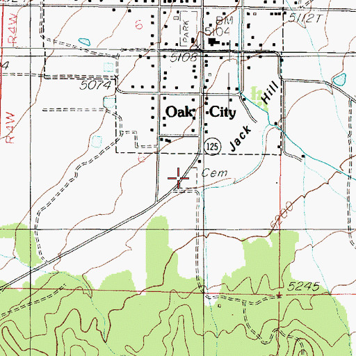 Topographic Map of Oak City Cemetery, UT