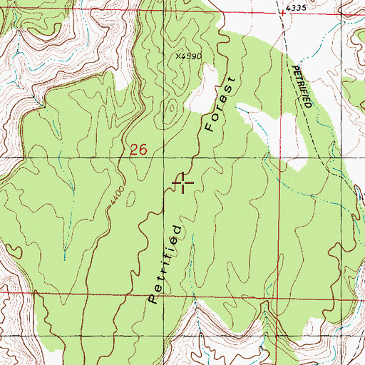 Topographic Map of Petrified Forest, UT