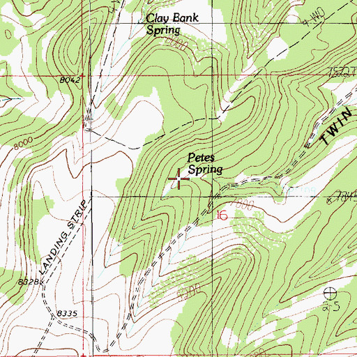 Topographic Map of Petes Spring, UT