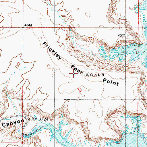 Topographic Map of Prickly Pear Point, UT