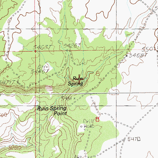 Topographic Map of Ruin Spring, UT