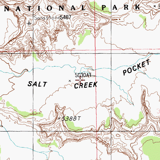 Topographic Map of Salt Creek Pocket, UT