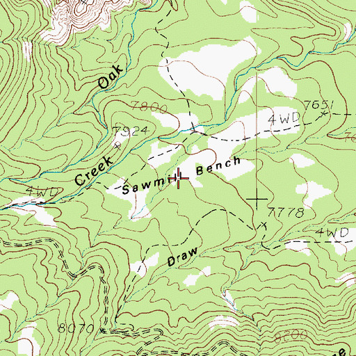Topographic Map of Sawmill Bench, UT